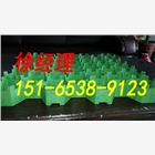 北京植草格生產廠家